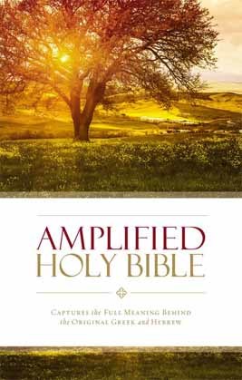 amplified bible free download for mac